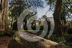 Garden trees stones in the liberty neighborhood photo