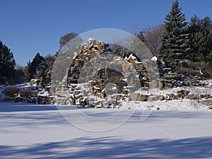 Garden with trees in winter