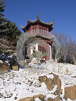 Garden with trees in winter