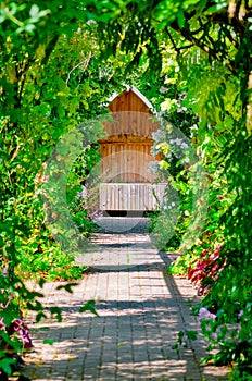 Garden trellis walkway hideout hidden tranquil sitting bench area outdoors empty shaded by vine and roses