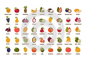 Garden and tropical fruits, big collection. Color silhouette icons set. Hand drawn vector contour