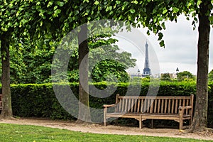 The garden of Tuilleries and The Eiffel Tower in Paris, France photo