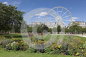 Garden of the Tuilleries, Paris photo