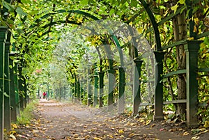 Garden tunnel