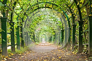 Garden tunnel