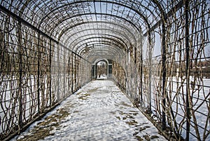 Garden Tunnel