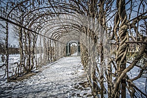 Garden Tunnel