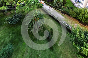Garden of an urbanization with grass, hedges, palm trees and children\'s play area