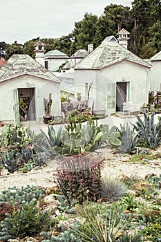 Garden with various cacti and greenhouses