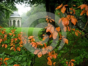 Garden view in autumn