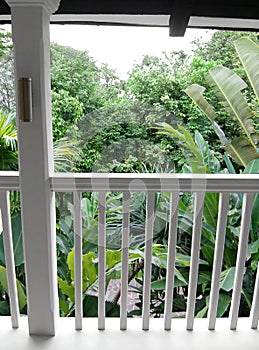 Garden view from balcony of tropical house