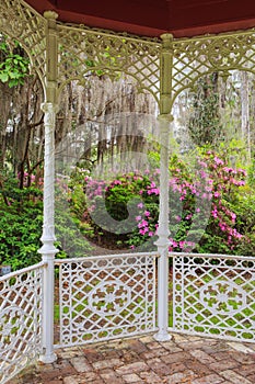 Garden View from Gazebo