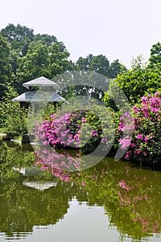 Garden view with lake and flower