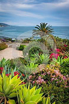 Garden and view of the Pacific Ocean, at Heisler Park, in Laguna Beach, California.