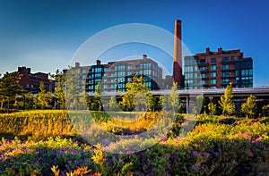 Garden and view of the smokestack in Georgetown, Washington, DC. photo