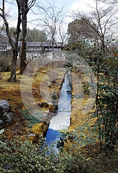 Garden view at Tenryuji Temple, Arashiyama, Kyoto, Japan