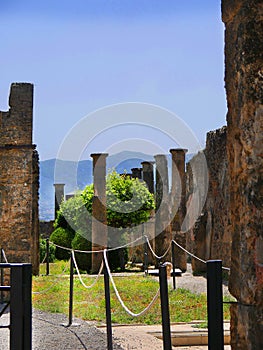 Garden of a villa in Pompeii Italy