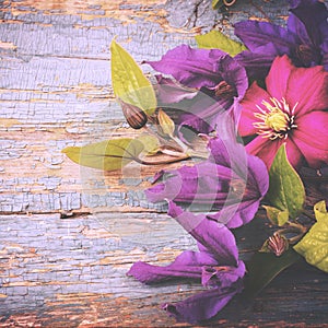 Garden Vintage Flowers Old wooden background. Toned.