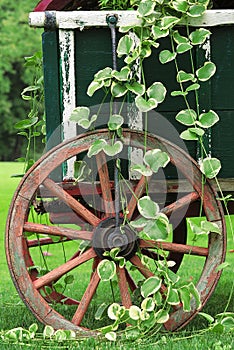Garden Wagon and Wheel
