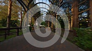 Garden, Walking in vegetable tunnel, Tracking shot along path beneath arches