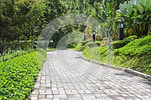 Garden Walkway