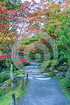 Garden Walkway With Fall Colors 3 photo