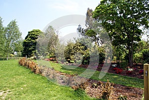 Garden walkway. Garden path