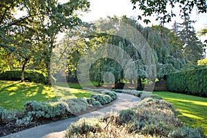 The garden walkway inside the VanDusen Botanical garden. Vancouver Canada