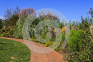 Garden Walkway with Pampas Grass