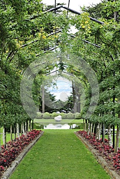 Garden walkway with pergola