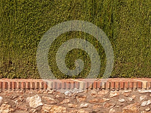 Garden Wall and Green Hedge
