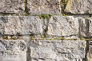 a garden wall of limestone blocks in sunlight
