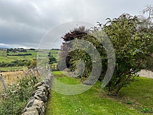 Garden wall view, with distant hills, on a cloudy day in, Allerton, Bradford, UK photo