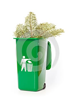 Garden waste in the green wheelie bin