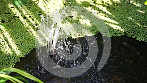 Garden Water Feature With Sounds