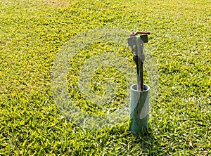 Garden Water Tap in a Grass Field