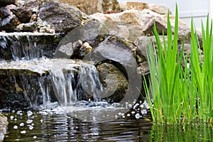 Garden waterfall