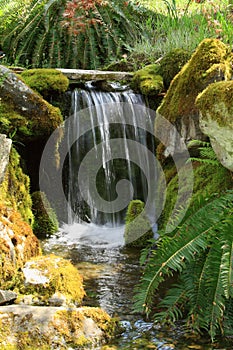 Garden waterfall