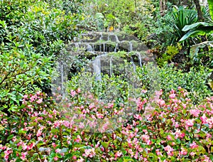 Garden waterfall