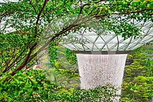 Garden Waterfall at the Jewel Changi