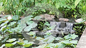 Garden waterfall in landscaped oriental garden