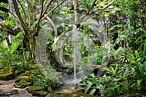 Garden with waterfall