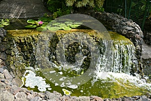 Garden waterfall with a waterlilly flower