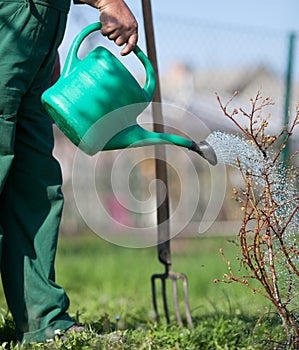 Garden watering