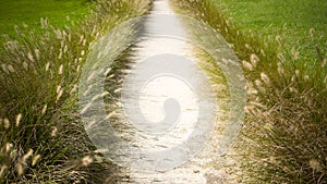 Garden Wedding Aisle