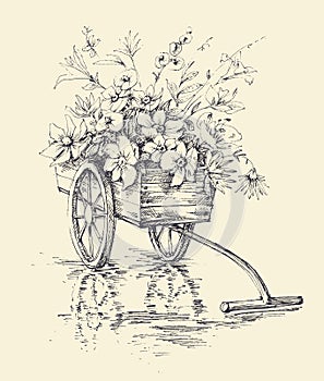 Garden wheelbarrow with flowers