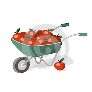 Garden wheelbarrow full of red apples