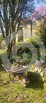 Garden wheelbarrow and tools in a Spring garden.