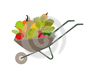 Garden wheelbarrow with vegetables and fruits vector