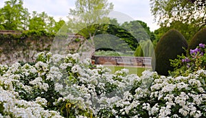Garden of White